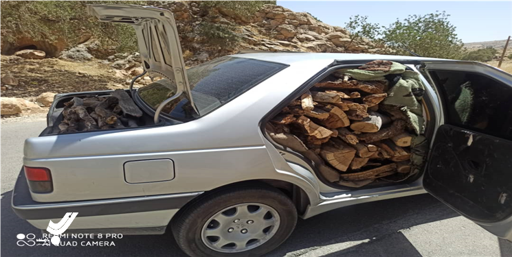 به دام افتادن شوتی حرفه ای قاچاقچی چوب جنگلی در گچساران 